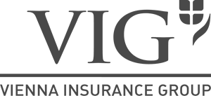 VIG logo