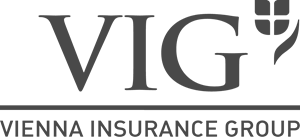 VIG logo